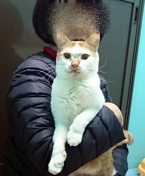f0078320_21403501.jpeg