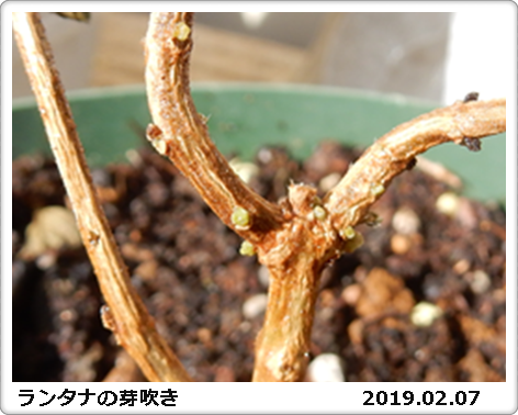 e0033229_1721386.png