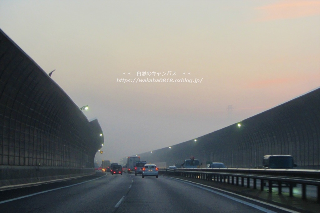 e0052135_17443350.jpg