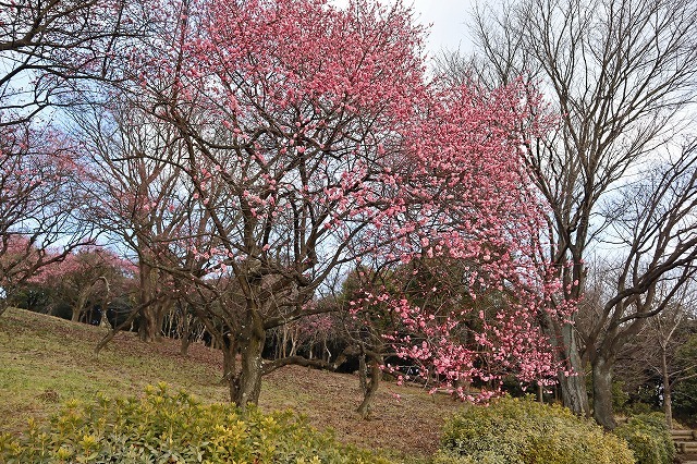 a0242438_21271035.jpg