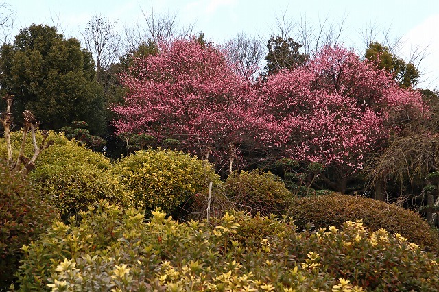 a0242438_21271639.jpg