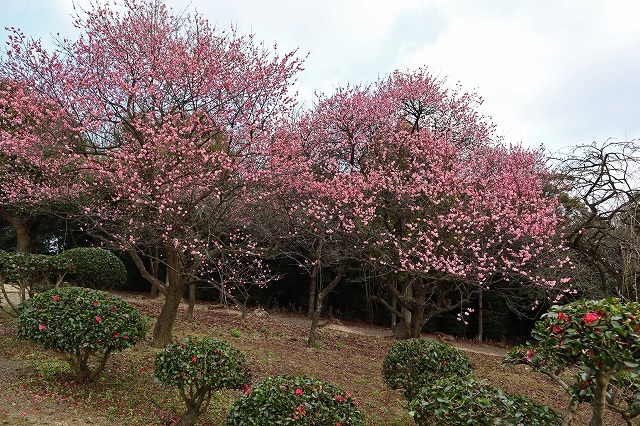 a0242438_21271696.jpg