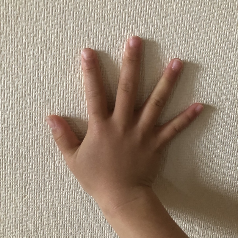 e0392639_17101459.jpeg