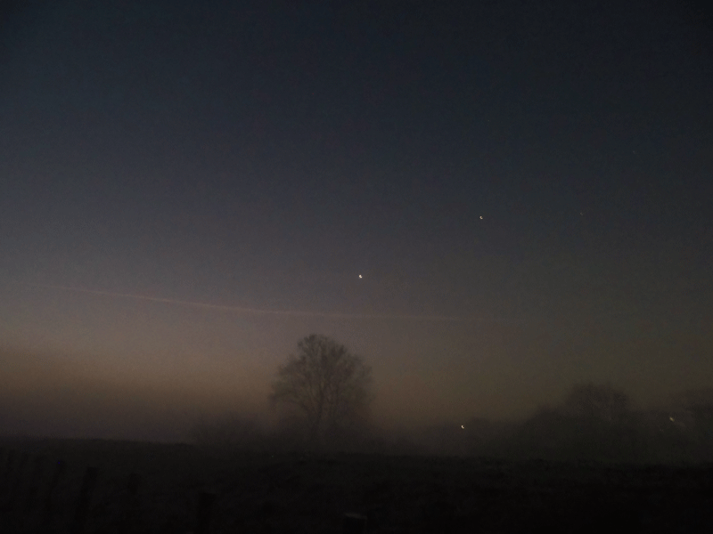 d0290240_10440589.gif