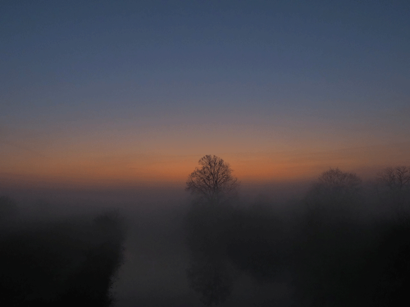 d0290240_10441863.gif