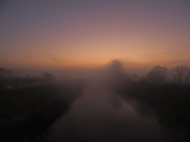 d0290240_10442765.gif