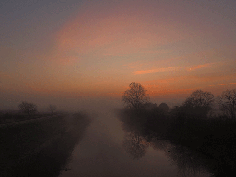 d0290240_10450331.gif