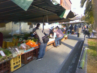 高知市の木曜市で思わず買い物_f0291565_09502545.jpg