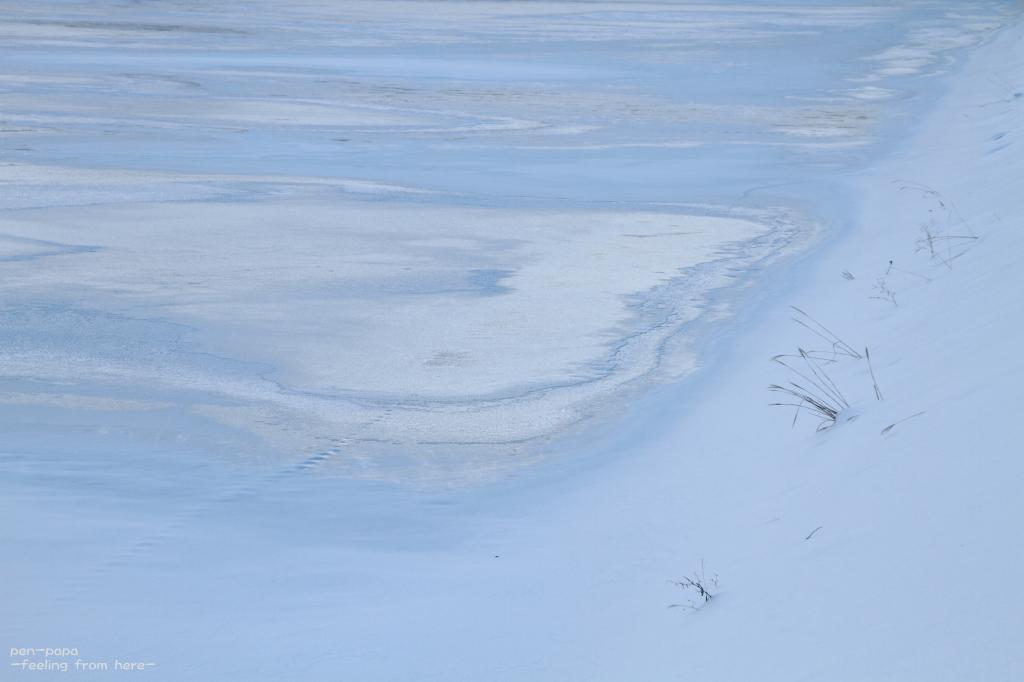 c0356480_16133698.jpg