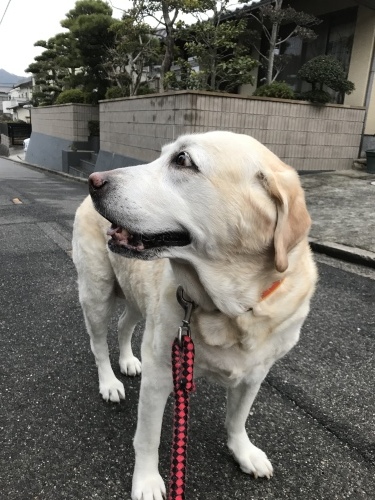 f0315081_22094944.jpeg