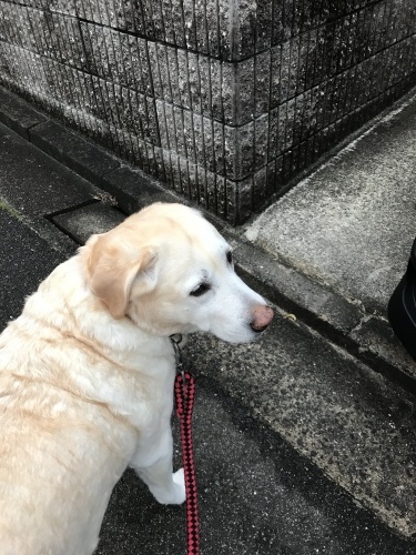 f0315081_22131921.jpeg
