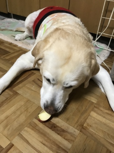 f0315081_22163781.jpeg