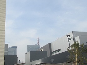 a0142083_11565571.jpg