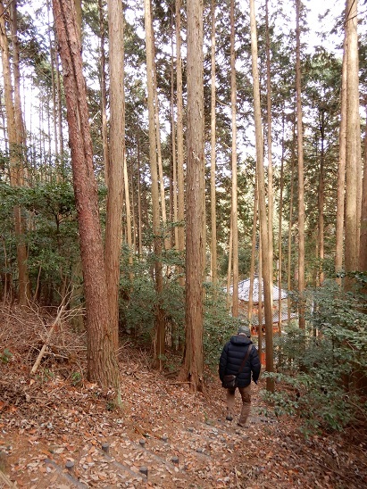 関西へ^^③_a0211886_22085067.jpg