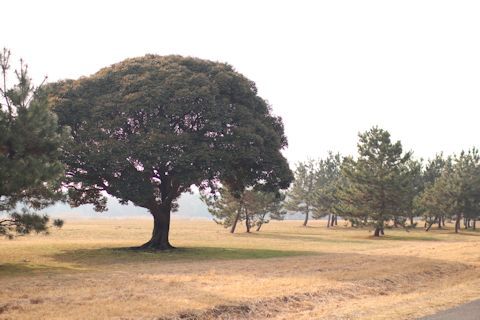 c0090198_21071329.jpg