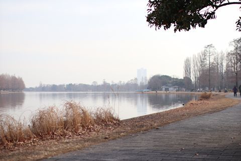 c0090198_21124032.jpg