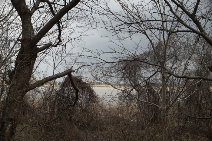 c0082800_22323325.jpg