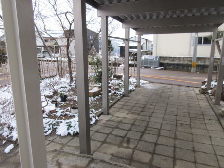 a0203003_19531638.jpg