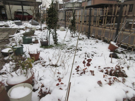a0203003_19541039.jpg