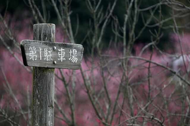 a0242438_21224928.jpg