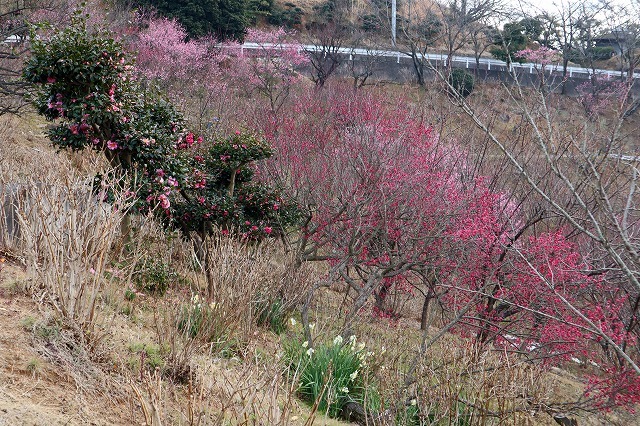 a0242438_21224987.jpg
