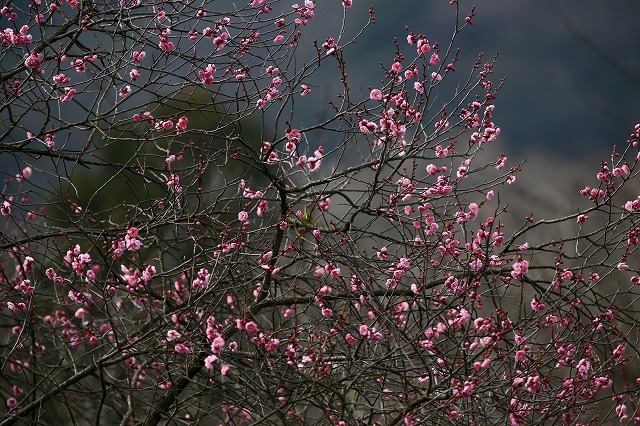 a0242438_21225927.jpg