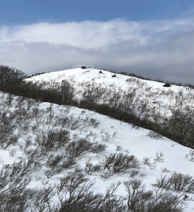 ☆雪山入門山行　“インディアン平原～岩籠山（いわごもりやま）”：２月２日（土）_e0371039_910853.gif