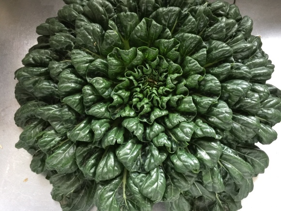 b0323340_21021851.jpeg