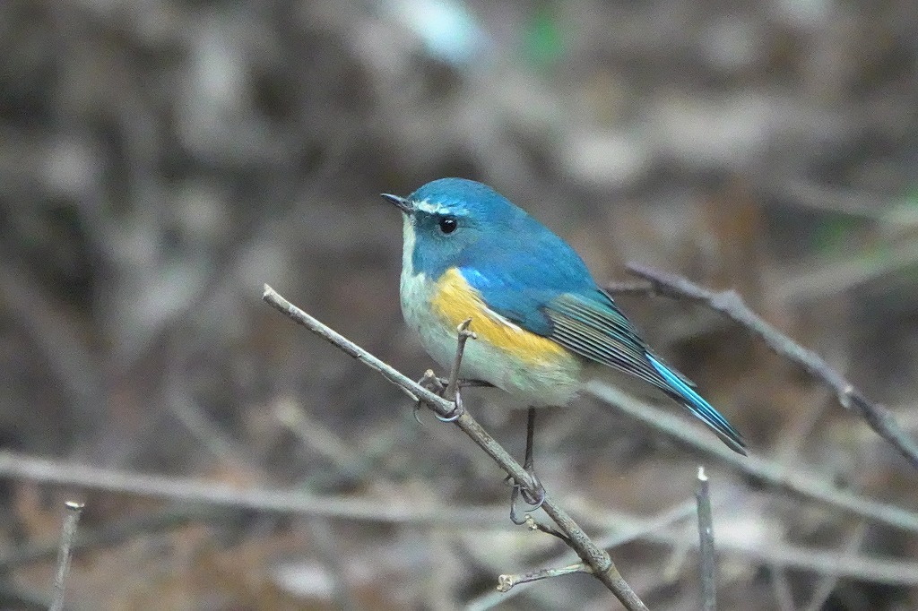 b0236251_11490137.jpg