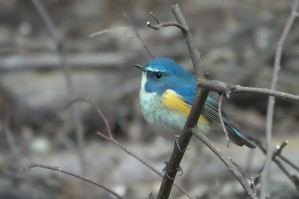 b0236251_11491005.jpg