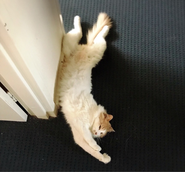 f0304452_19210837.jpeg