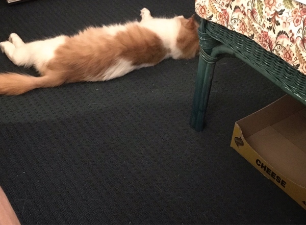 f0304452_21291861.jpeg