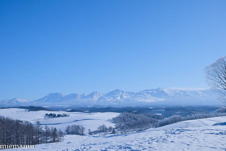 d0340565_19372344.jpg