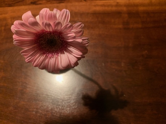 a0351266_06270083.jpg