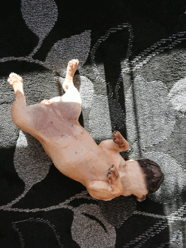 b0056476_12255565.gif