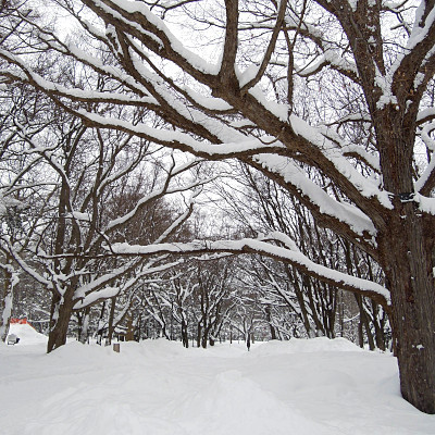 artigana-gのSAPPORO・140_b0055196_17033489.jpg