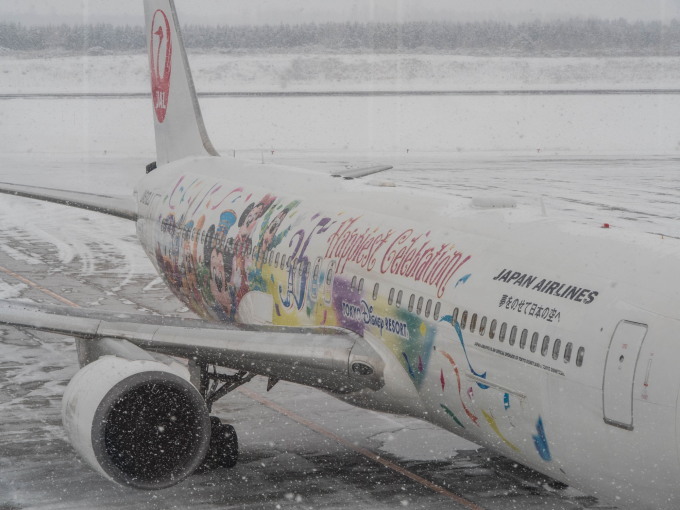 雪の帯広空港にJALディズニー35周年セレブレーションエクスプレス_f0276498_00075492.jpg