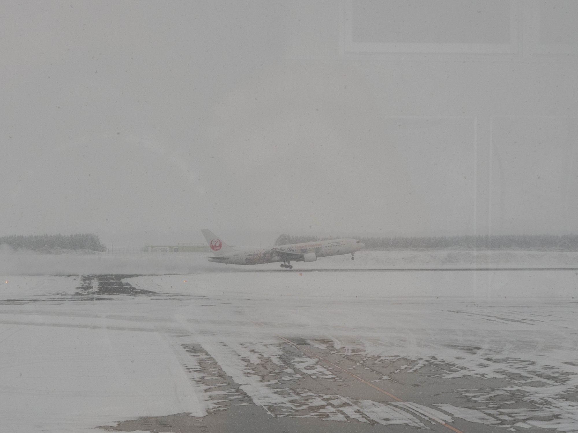 雪の帯広空港にJALディズニー35周年セレブレーションエクスプレス_f0276498_00092384.jpg