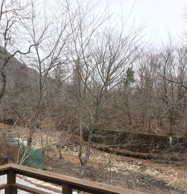 河川工事_b0220002_23592614.jpeg
