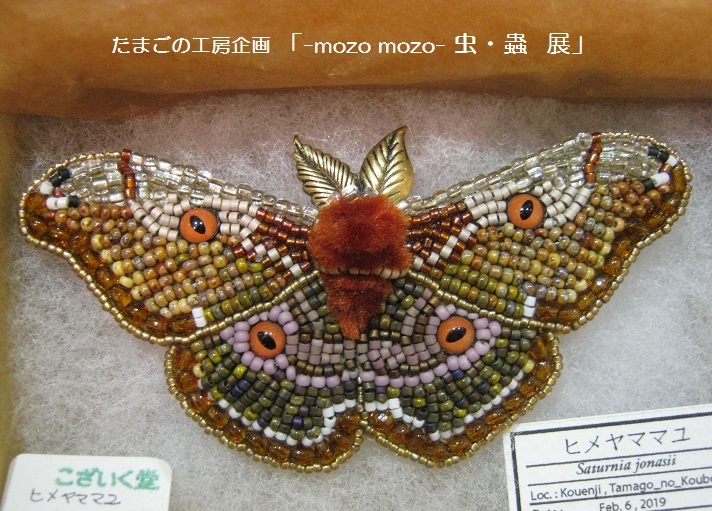 たまごの工房企画 「 -mozo mozo- 虫・蟲 展 」 その4_e0134502_12144860.jpg