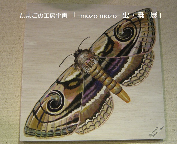 たまごの工房企画 「 -mozo mozo- 虫・蟲 展 」 その4_e0134502_13561785.jpg