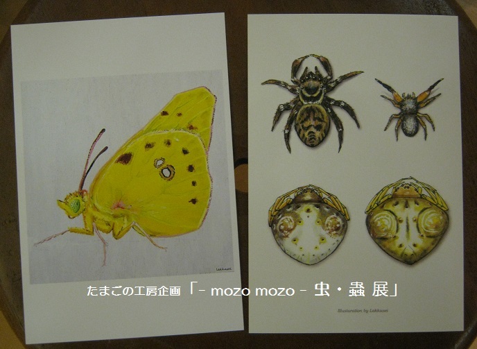 たまごの工房企画 「 -mozo mozo- 虫・蟲 展 」 その4_e0134502_14003389.jpg