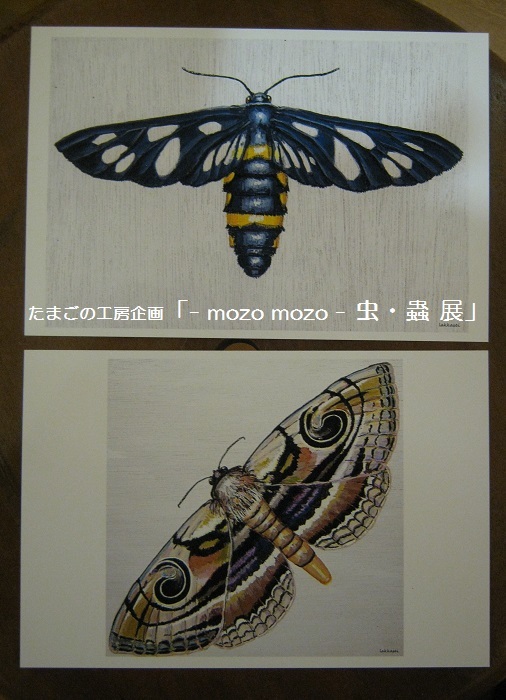 たまごの工房企画 「 -mozo mozo- 虫・蟲 展 」 その4_e0134502_14010067.jpg