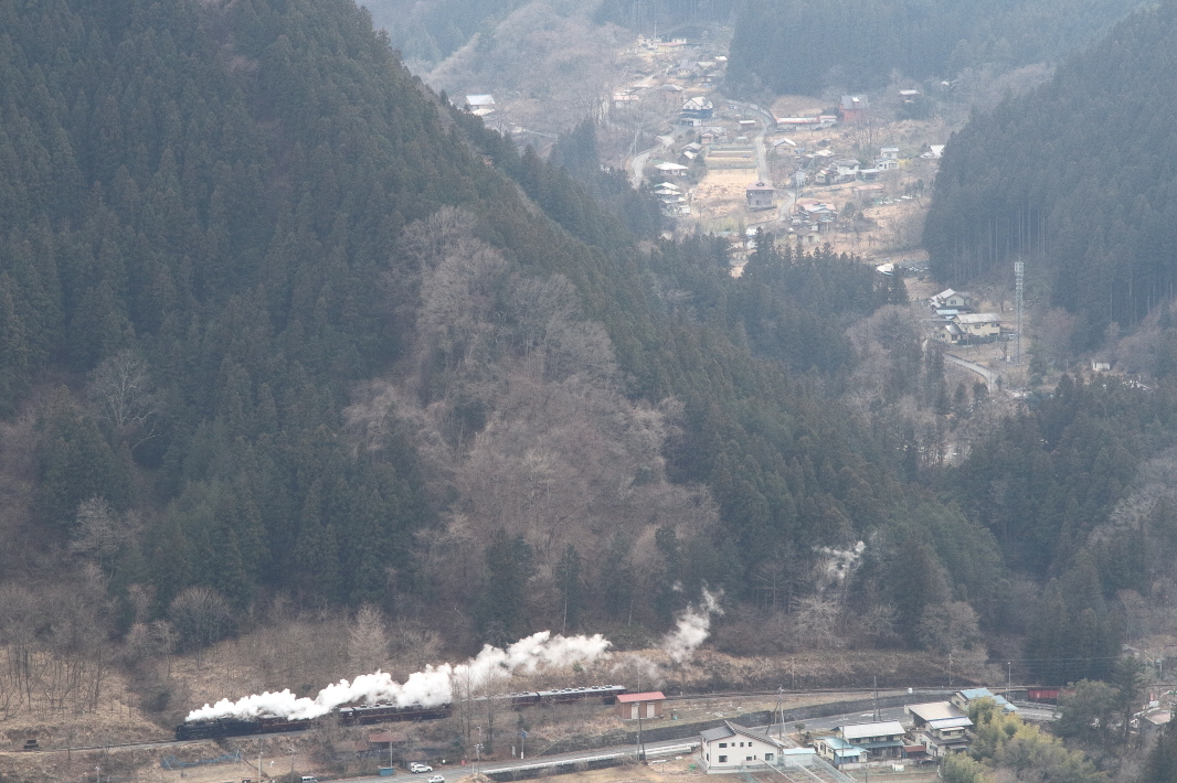 冬枯れに白煙 - 2019年・秩父 -_b0190710_20432723.jpg