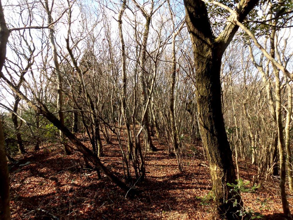 f0212511_00554793.jpg