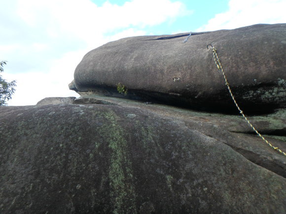 d0198313_07341960.jpg