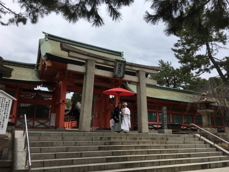 a0174419_20224228.jpeg