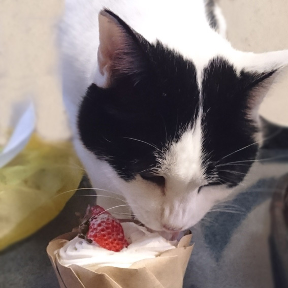 食の呪縛から解き放たれる_a0329820_16131410.jpg