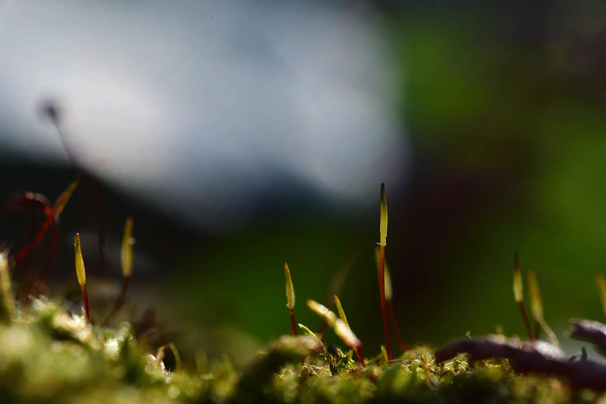 a0059621_09481728.jpg