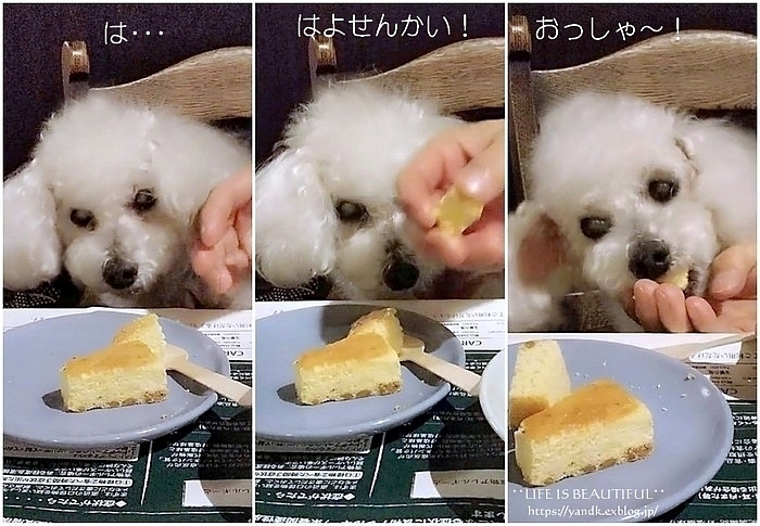 早春の旅_d0083623_23365685.jpg